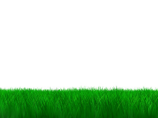 CGI green grass isolated on a white background