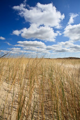 Sand dunes near to the sea