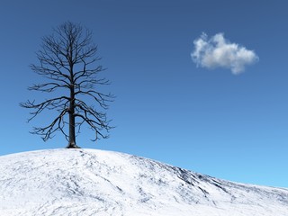 Winter Tree on a snowy hill