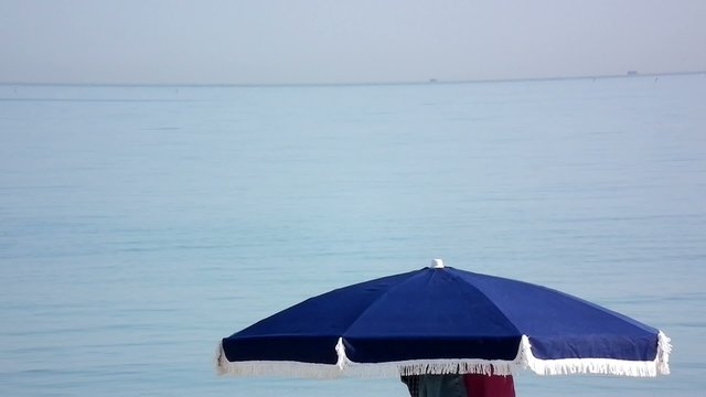 mare