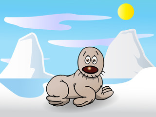 cute seal