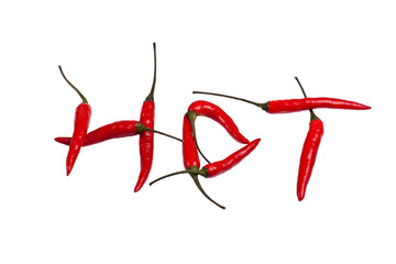Hot Red Chillies
