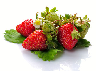 Strawberries isolated