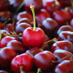 jolie cerise 2