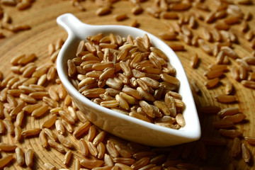 céréales kamut