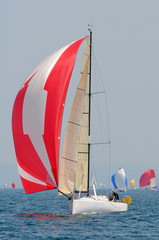 Obraz premium Course à la voile en classe Mini 6.50 class40, l'Imoca et la classe 50 en Bretagne France 