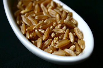 céréales kamut