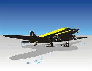 Customized ski plane