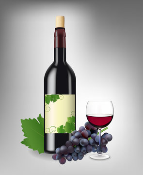 Red wine set. Vector illustration.