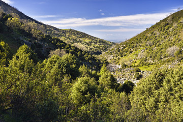 Garganta Tejea en la Sierra de Gredos. España