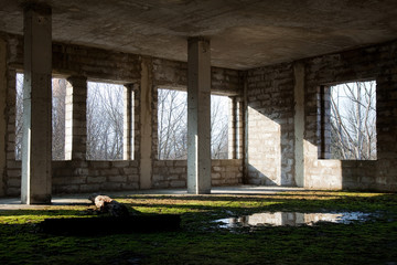 House near the trees