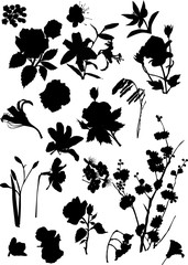 set of black flower silhouettes