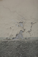 texture_muro29
