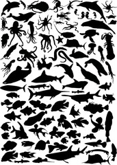 Obraz premium huge set of sea animals