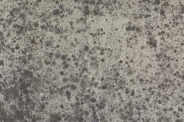 texture_muro24