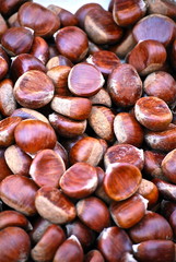 Kastanien