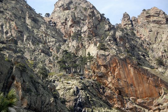 vall&eacute;e de la restonica