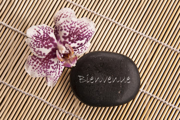 Obraz na płótnie Canvas Mot bienvenue sur un galet noir et orchidée