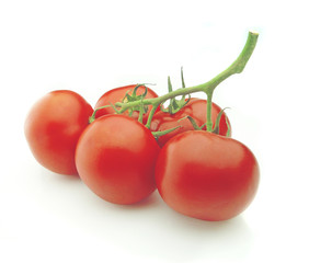 Tomato