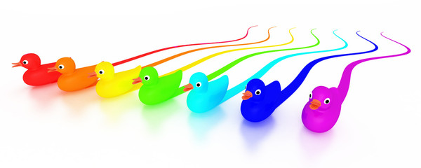 Regenbogen Quietscheenten 2