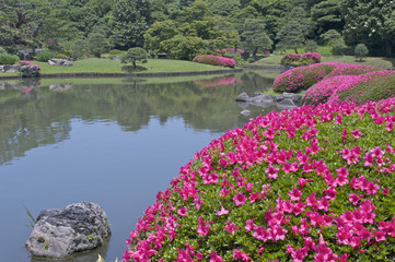 Naklejka premium 六義園のつつじと日本庭園