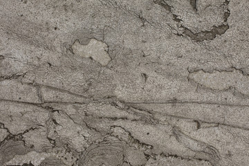 texture_strada03