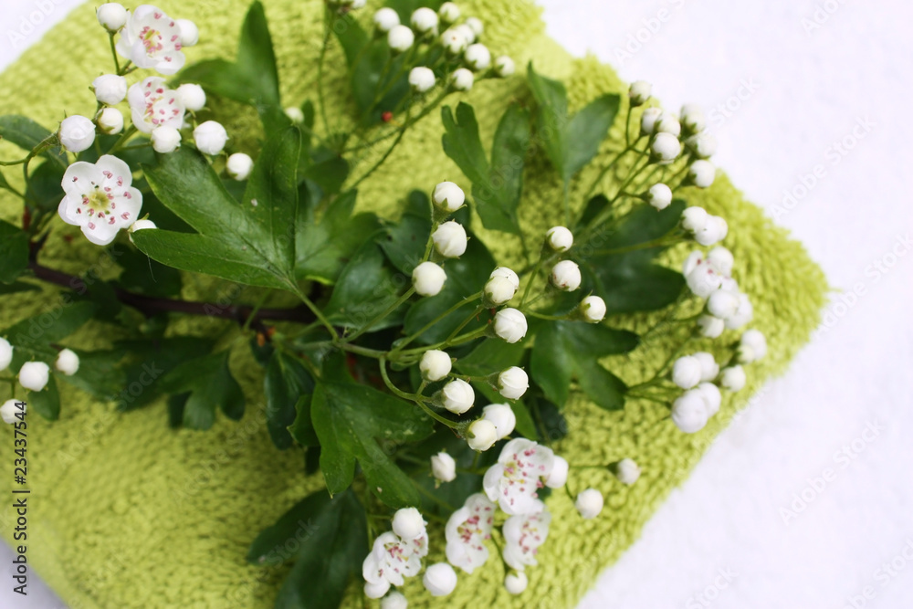 Wall mural Flowers and towel