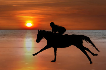 silhouette of a horse and rider galloping on beach