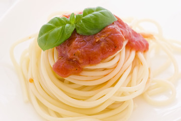 Spagetti mit Tomatensauce