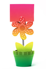 wooden flower with note space isolated