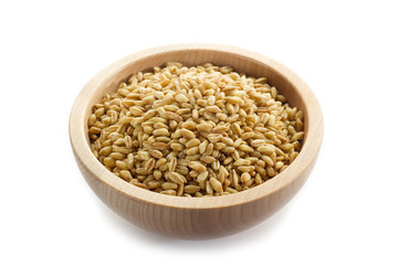 bowl with grain - ciotola di grano