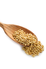 spoon with grain isolated on white