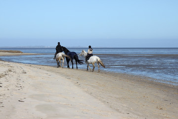 Ausritt am Strand