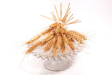 Obraz premium spighe di grano