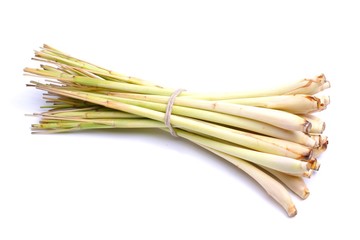 Zitronengras