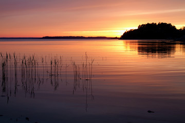 Fototapeta na wymiar Sunset in Stockholm`s archipelago.