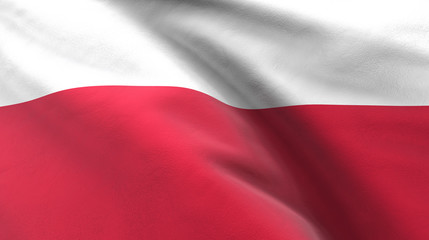 Flagge Polen - obrazy, fototapety, plakaty