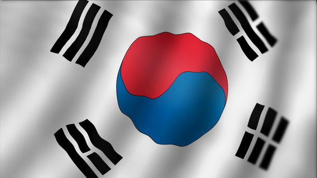 South Korea - waving flag detail