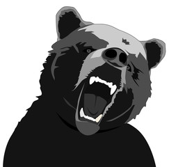angry bear