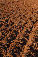 Field