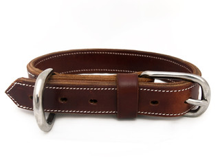 Collar para perro