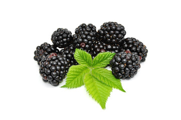 Frische Brombeeren