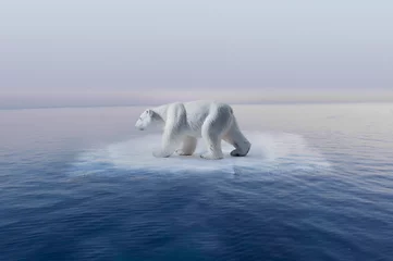 Abwaschbare Fototapete Eisbär Klimawandel Eisbär auf kleinem Eisberg