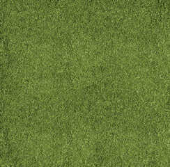 Texture football pitch