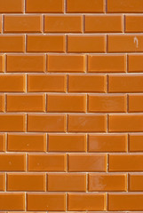 Portuguese glazed tiles 189