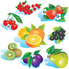 Various juicy fruits on a white background.
