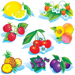 Various juicy fruits on a white background.