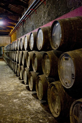 Burmester winery, Porto, Douro Province, Portugal