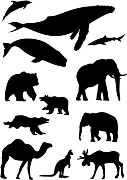 wild animals. Silhouette vector collection