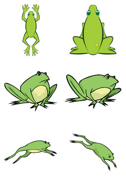 Assorted Cute Frog Illustration in Vector